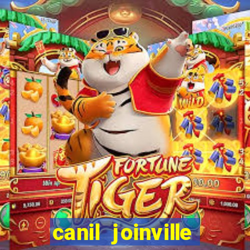 canil joinville vila nova